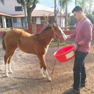 Meet your Posher, Alejandro